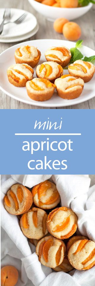 Mini Apricot Cakes | Cooking Goals